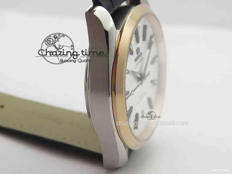 0509 2017 Aqua Terra SS RG XF Best Edition White Textured Dial On Black Leather Strap A Functional 8157